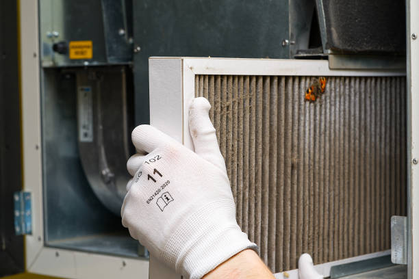 Best Local Air Duct Cleaning Services  in Springdale, NC