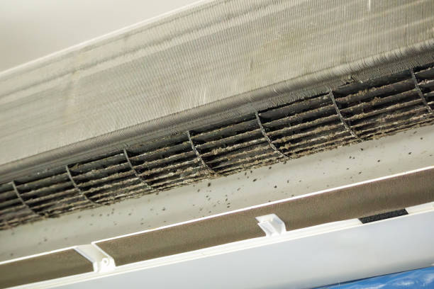 Best HVAC Duct Inspection Services  in Springdale, NC