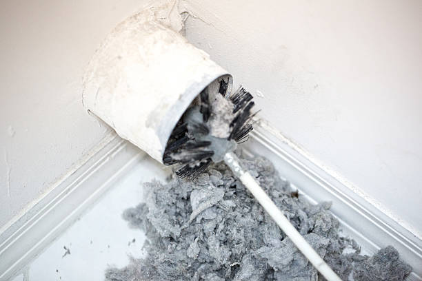 Best Air Duct Mold Removal  in Springdale, NC